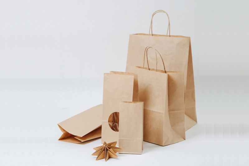Paper Bag Design 1